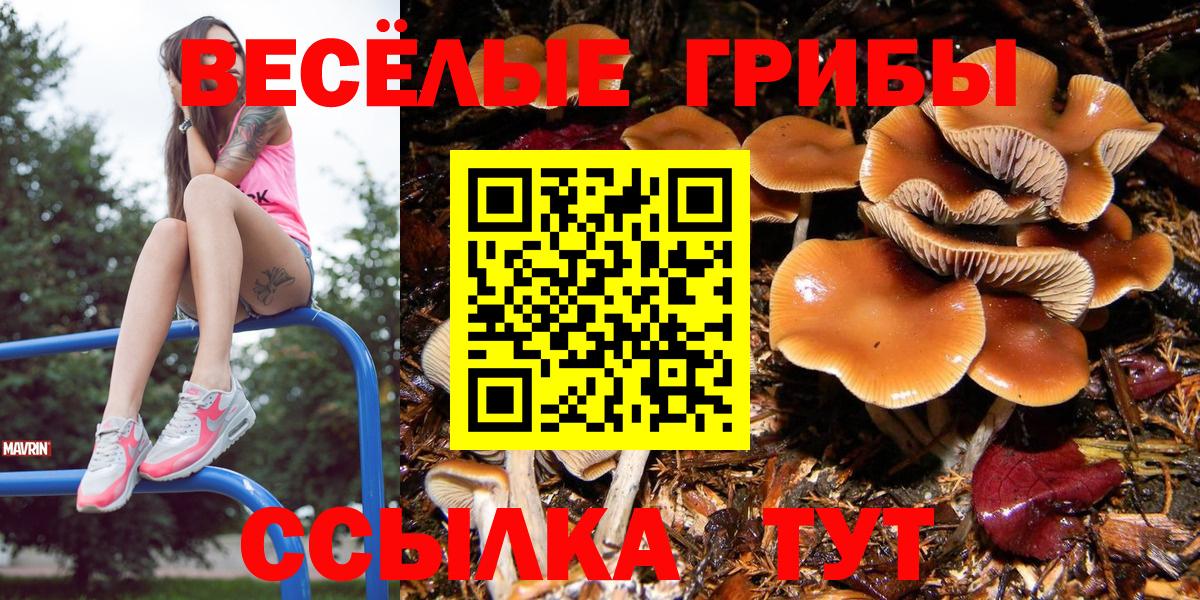 где купить   Вход с VPN  Мелеуз  Псилоцибиновые грибы Magic Shrooms 