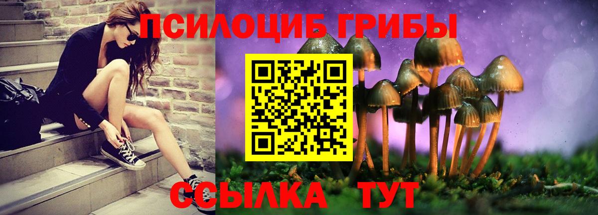Псилоцибиновые грибы прущие грибы Мелеуз